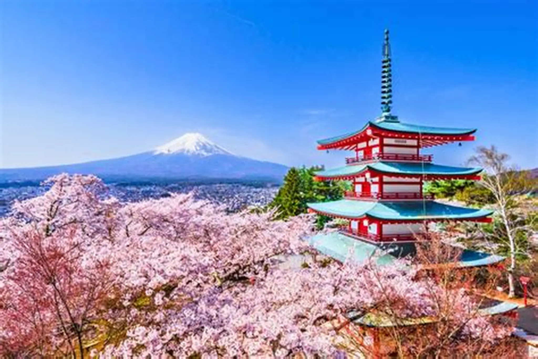 FUJI
